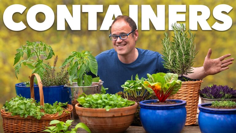 container gardening tips for apartments